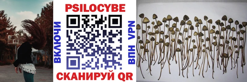 Псилоцибиновые грибы GOLDEN TEACHER Вязники