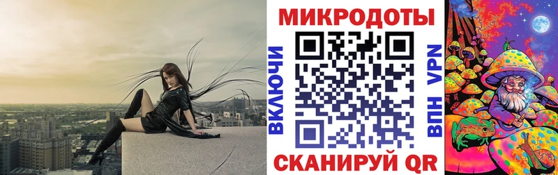Галлюциногенные грибы GOLDEN TEACHER  darknet наркотические препараты  Вязники 